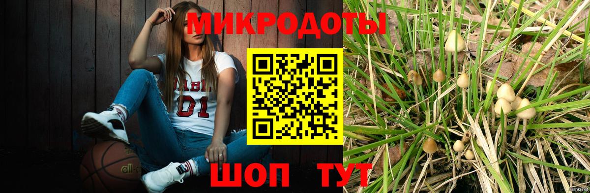 Галлюциногенные грибы Psilocybe Жигулёвск