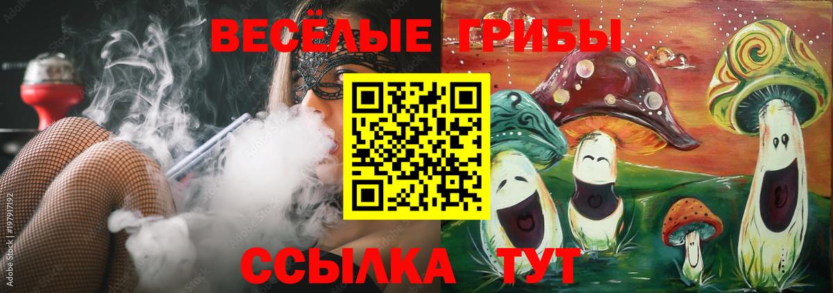 Псилоцибиновые грибы ЛСД Жигулёвск