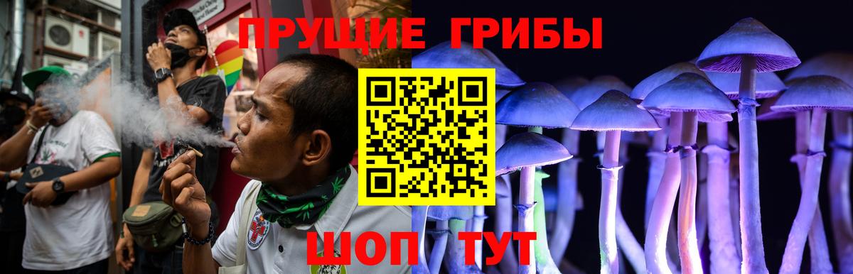 Псилоцибиновые грибы Psilocybine cubensis  Псилоцибиновые грибы мухоморы  Вход с VPN  Жигулёвск 